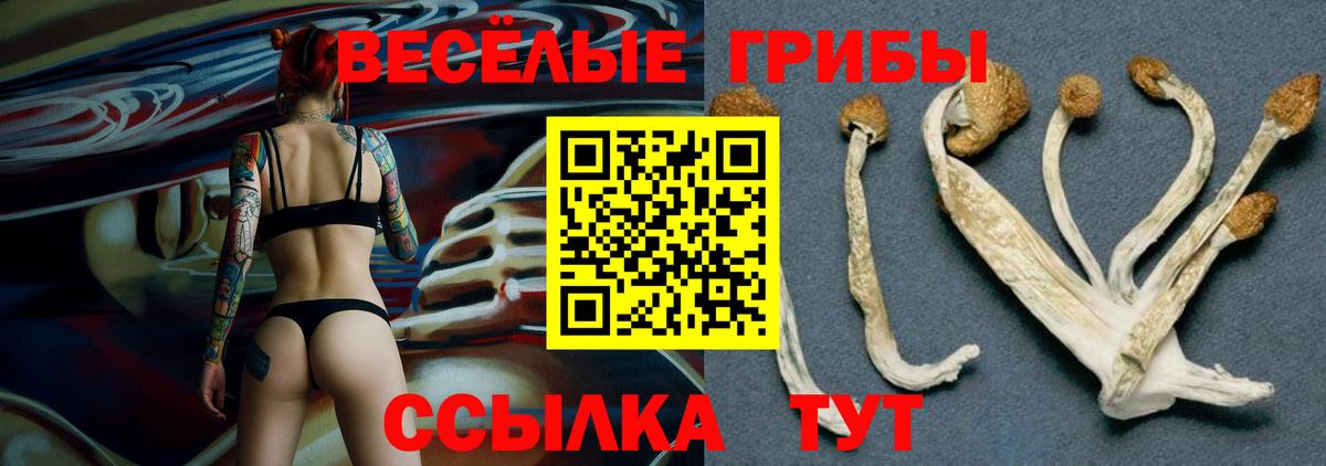 Галлюциногенные грибы прущие грибы  Вход с VPN  Каменск-Шахтинский 